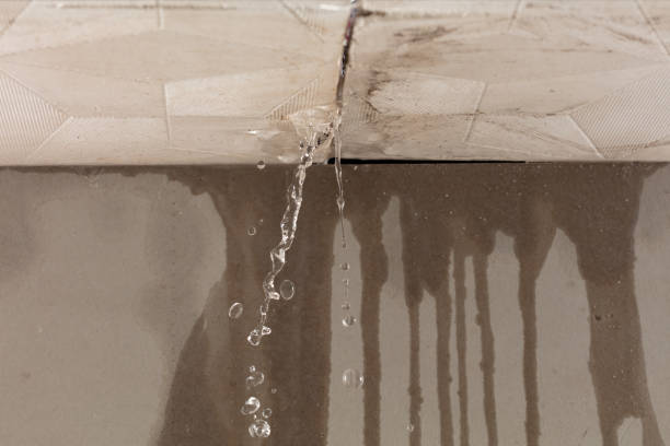 Professional Structural Drying technician working in East Wenatchee, WA